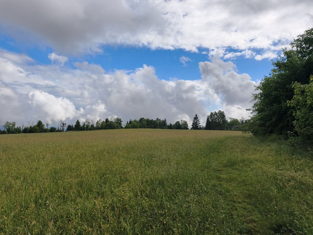Krásnička (687&nbsp;m)