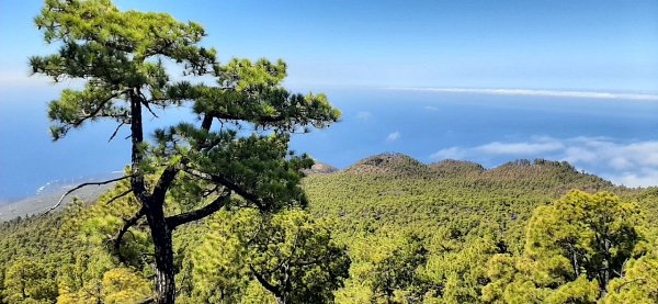 Montaña del Fuego