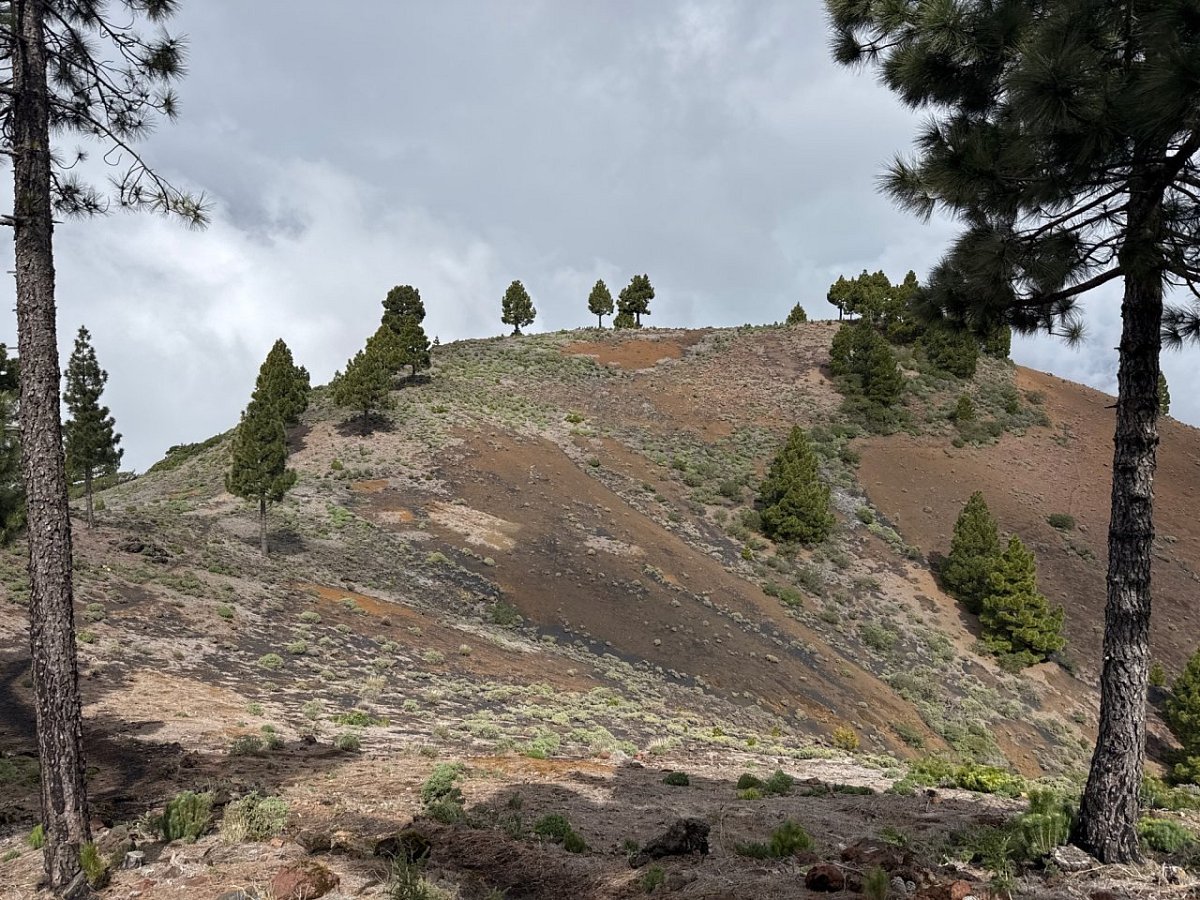Montaña de los Charcos (1851&nbsp;m)