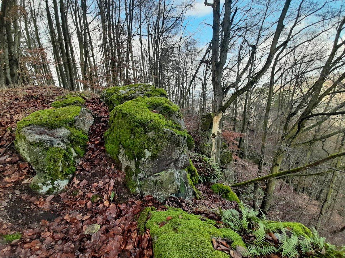 Výrovka (439 m)