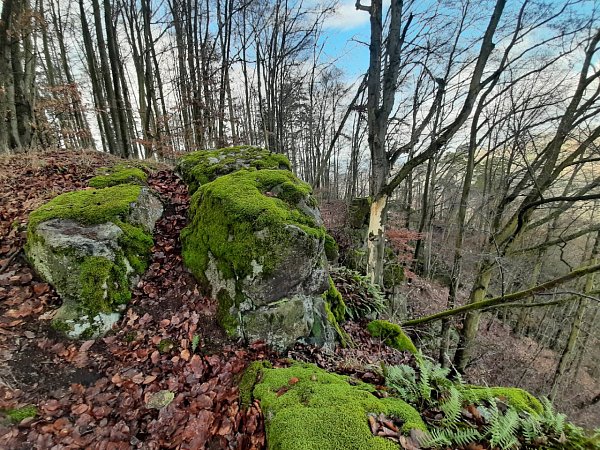 Výrovka