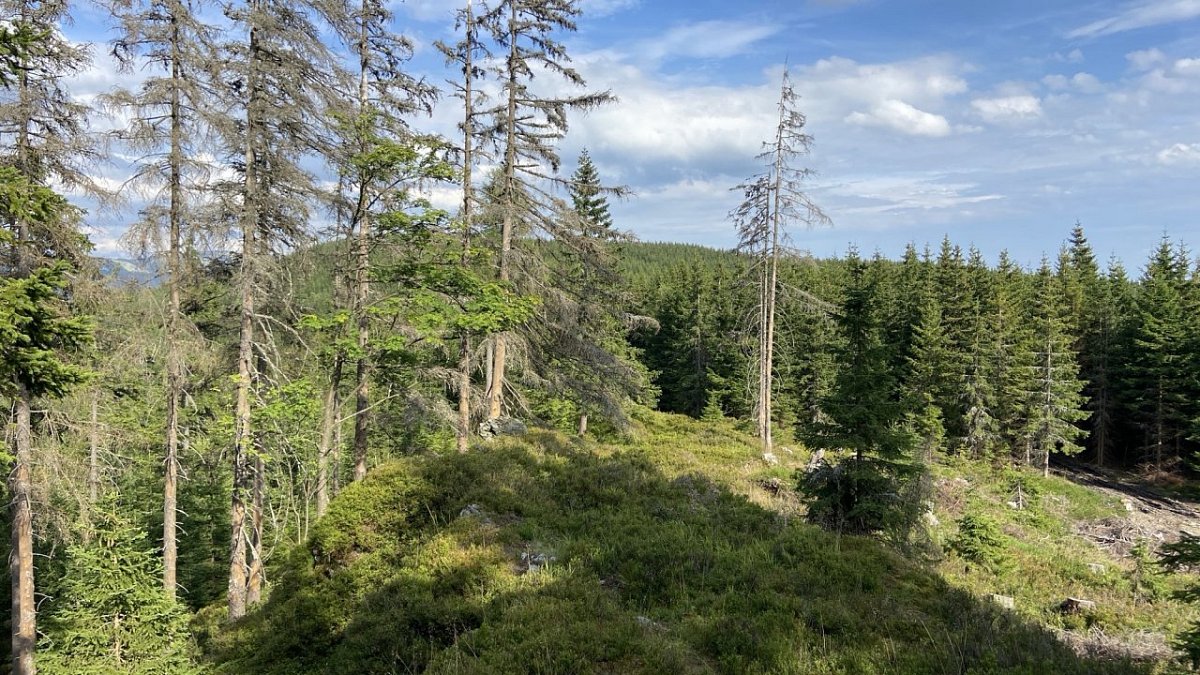 Kozlí hřbet (1034&nbsp;m)