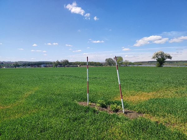 Vosáhlův kopec