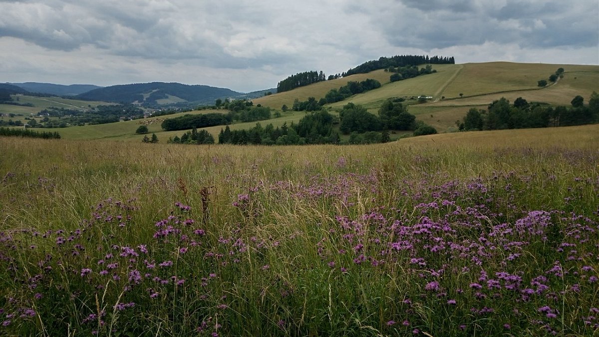 Beskid (683 m)