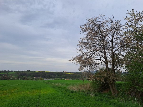 Písečný vrch