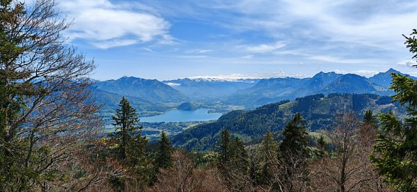 Spitzeck