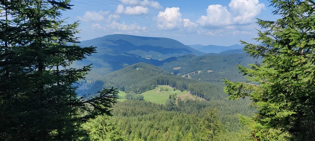 Polomka (984&nbsp;m)