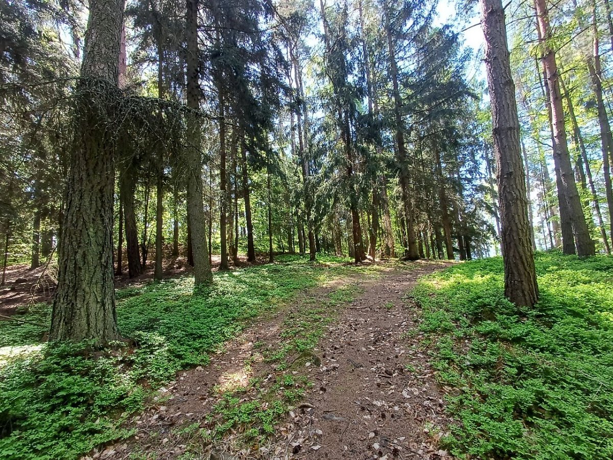 Žabička (372 m)