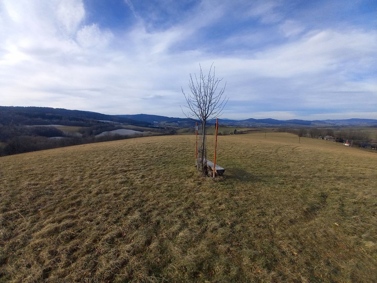 Na Ovčím vrchu (638 m)