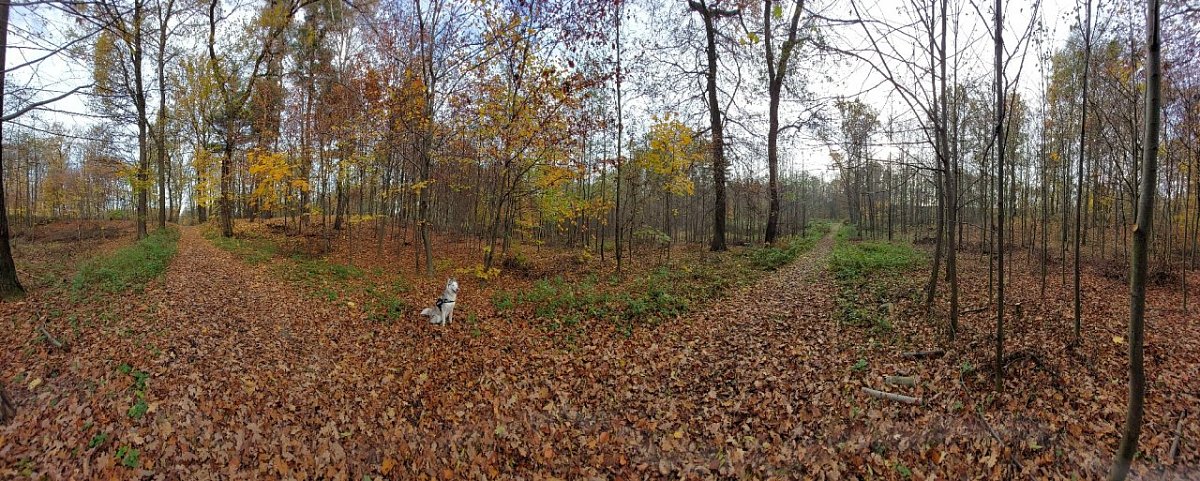 Baginec (224 m)