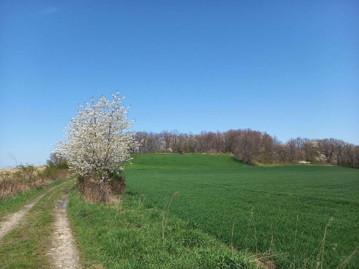 Písečník (290 m)