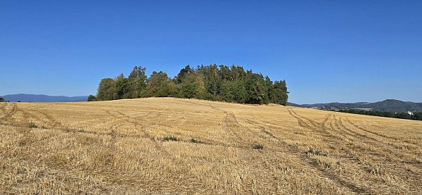 Homůlka