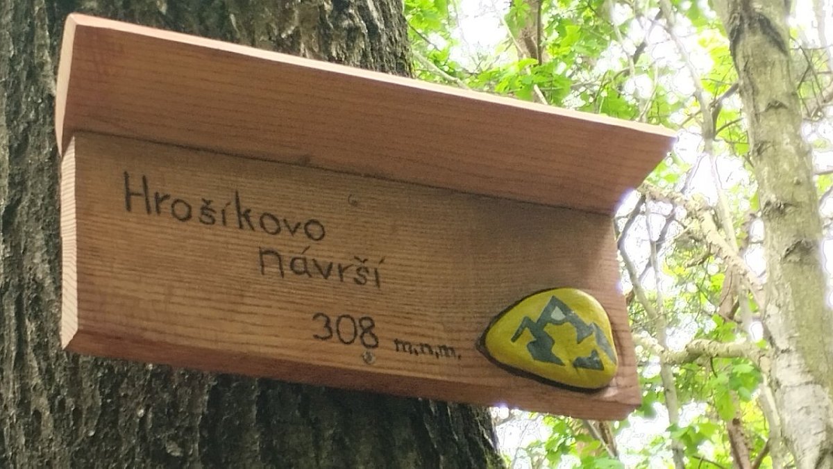 Hrošíkovo návrší (308 m)