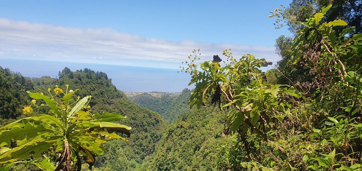 Vale da Lapa (982&nbsp;m)