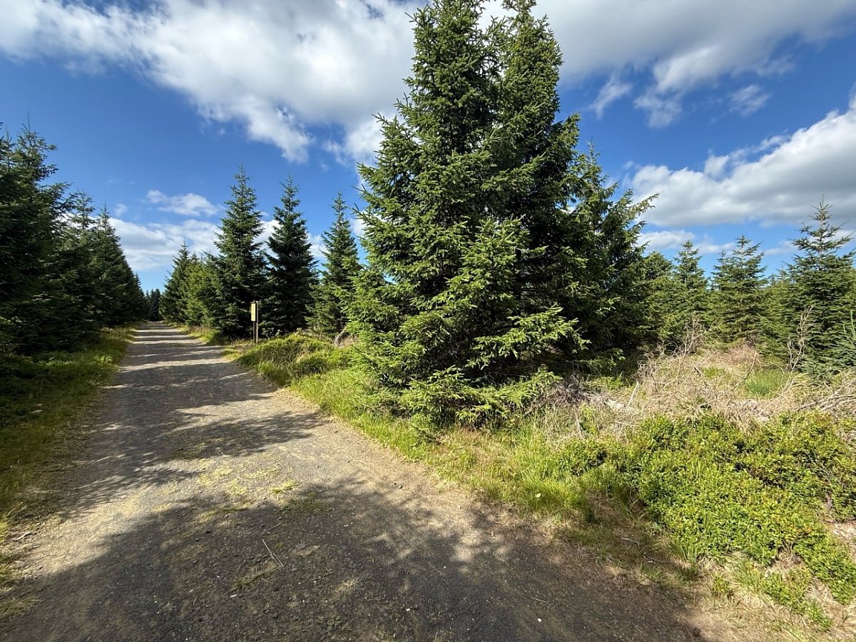 Přední Planina (1198&nbsp;m)