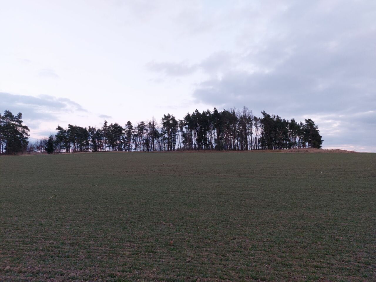 Na Býkovci (407 m)