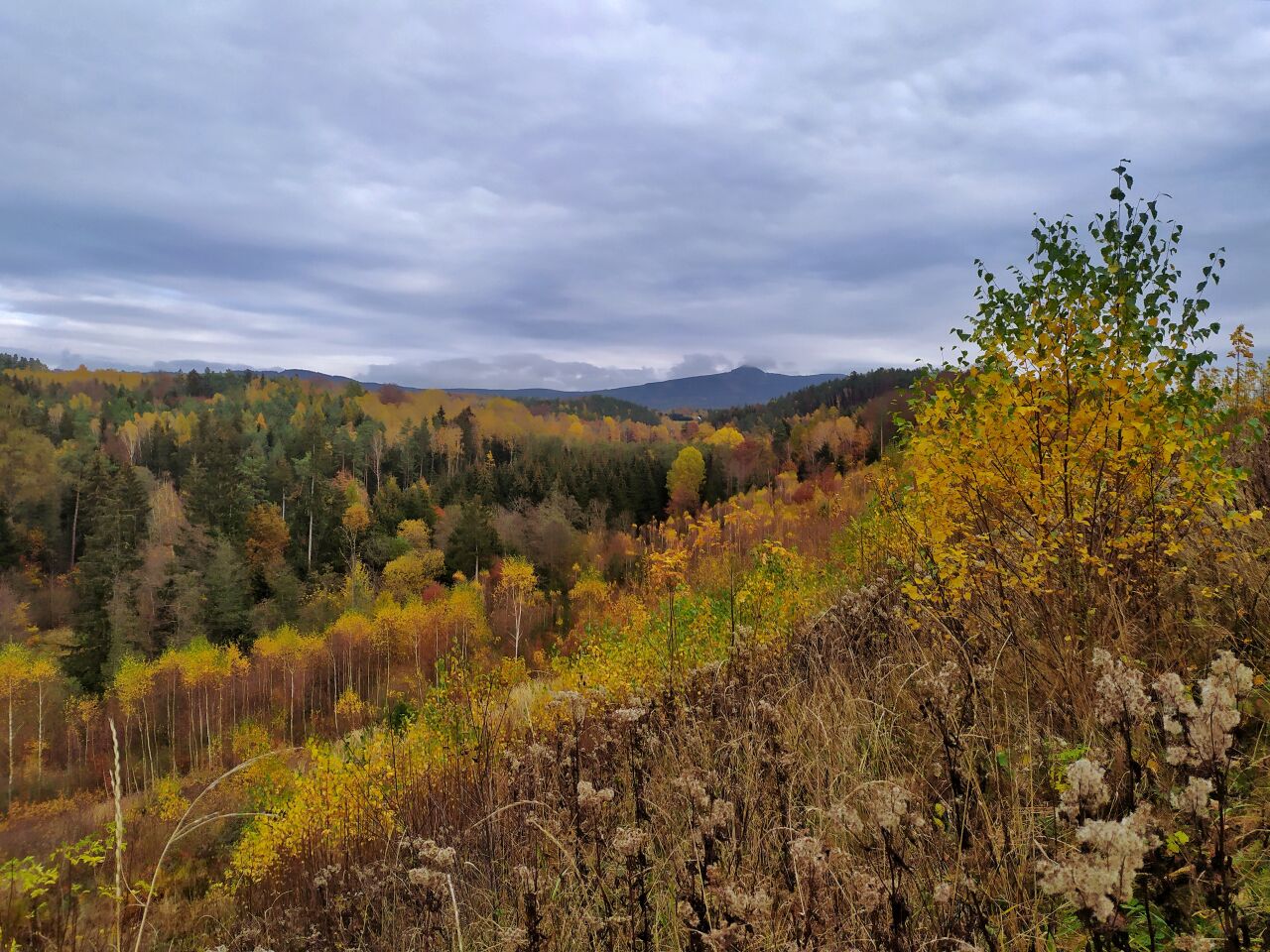 Svárov