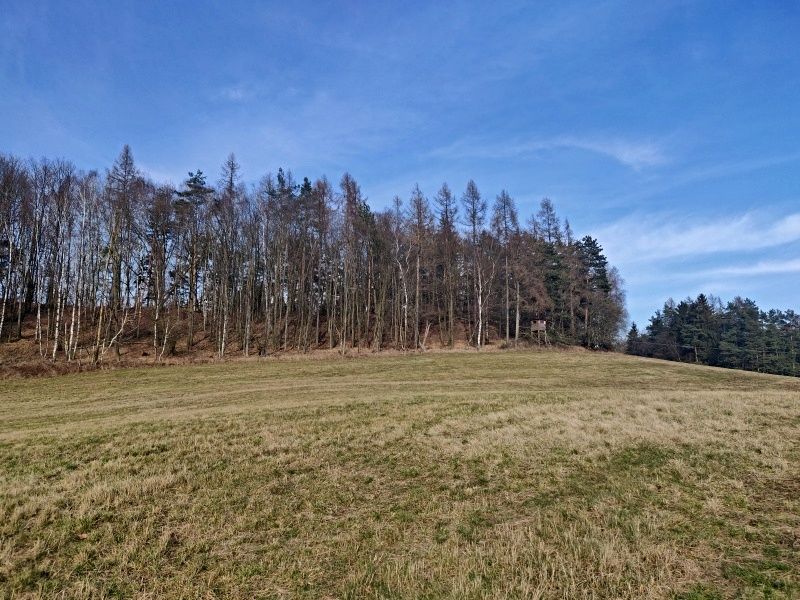 Mlýnský vrch