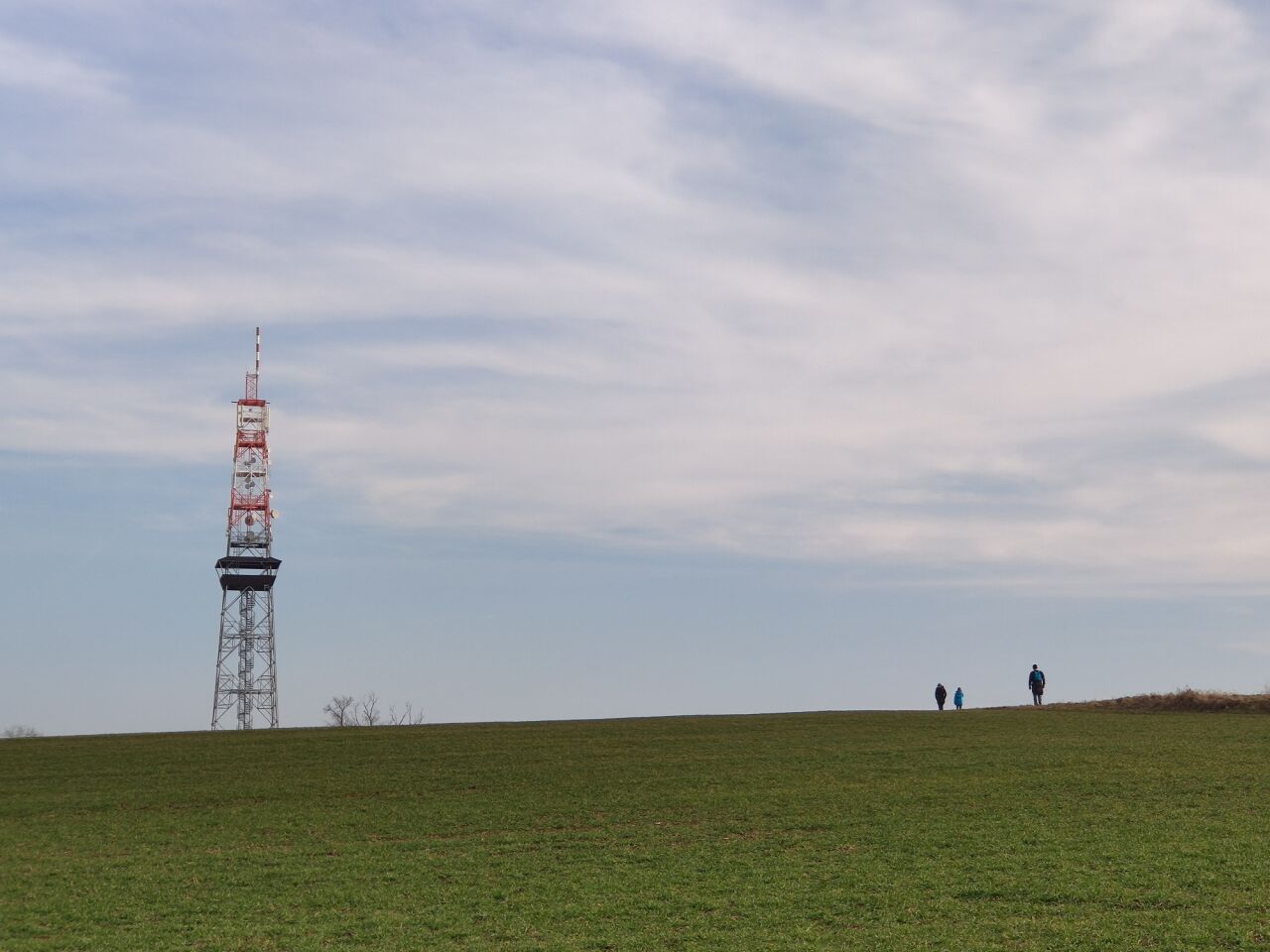 Rovnina