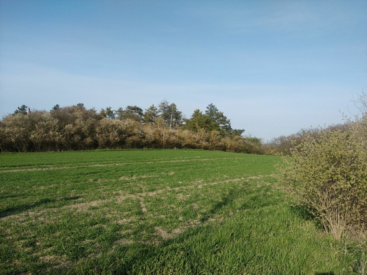 Kostelíček