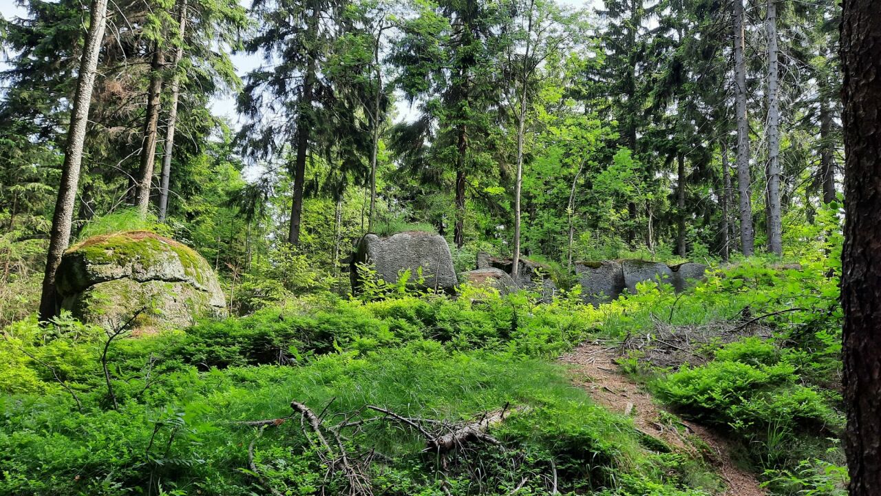 Bedřichovské sedlo