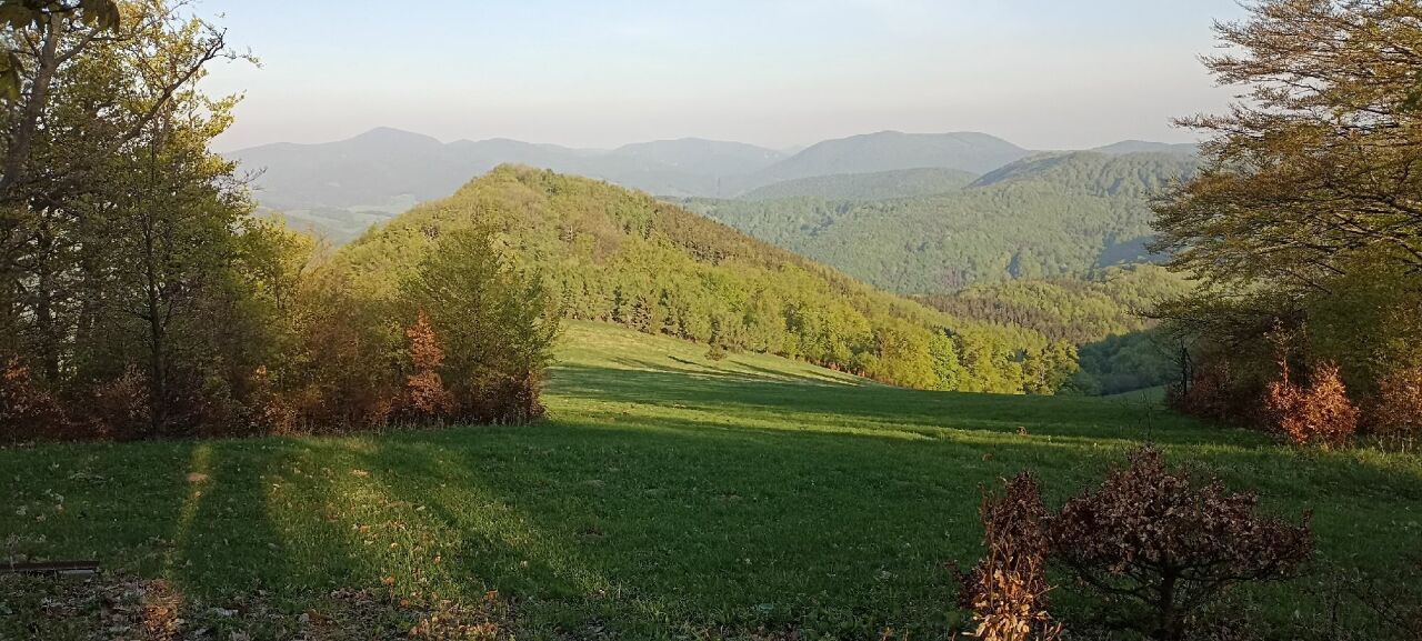Homôľka