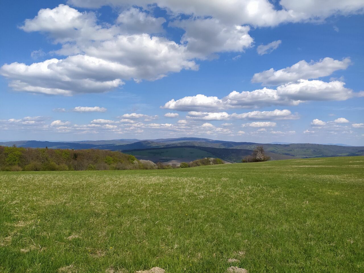 Žalostiná