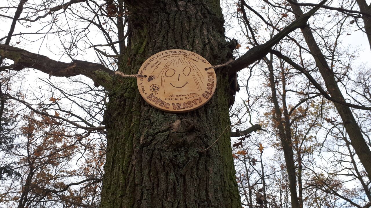 Kopec Vlasty Dlabaji