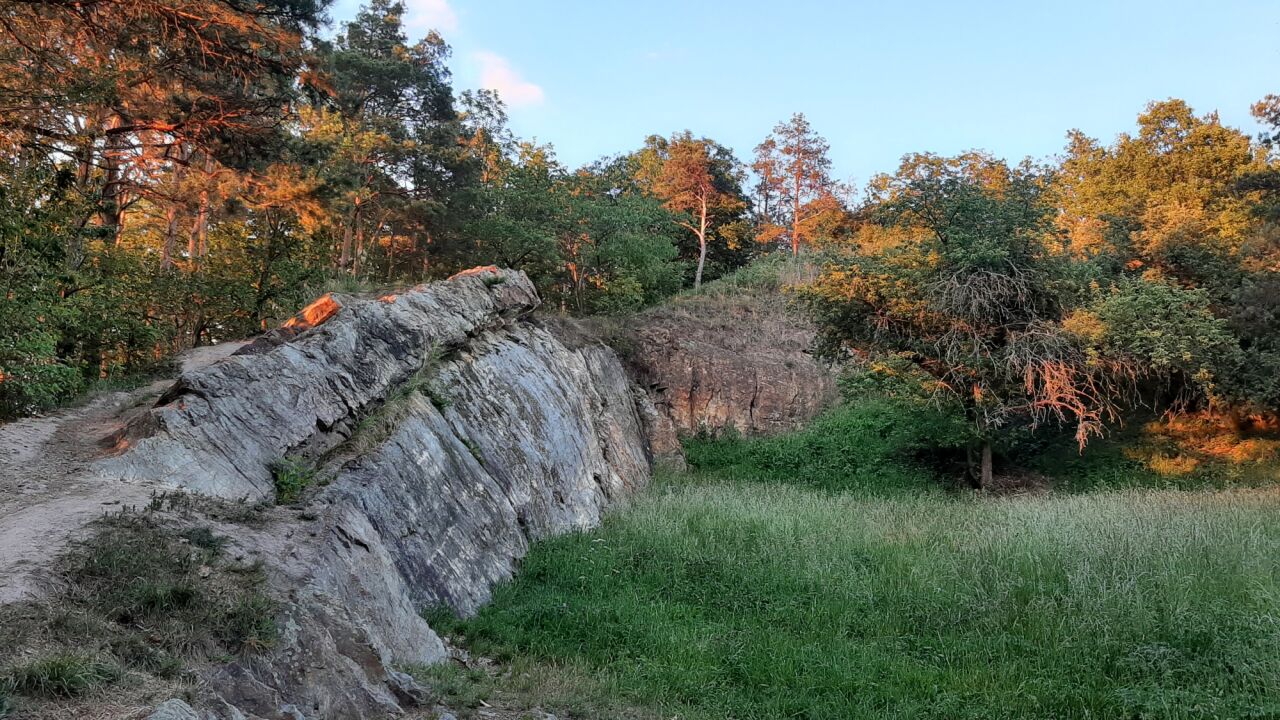 Rohožník