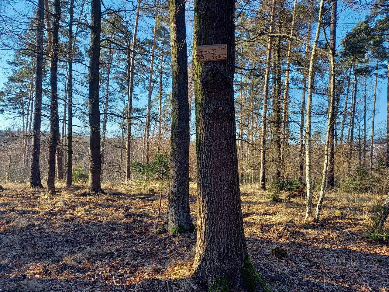 Zdeňkův kopec