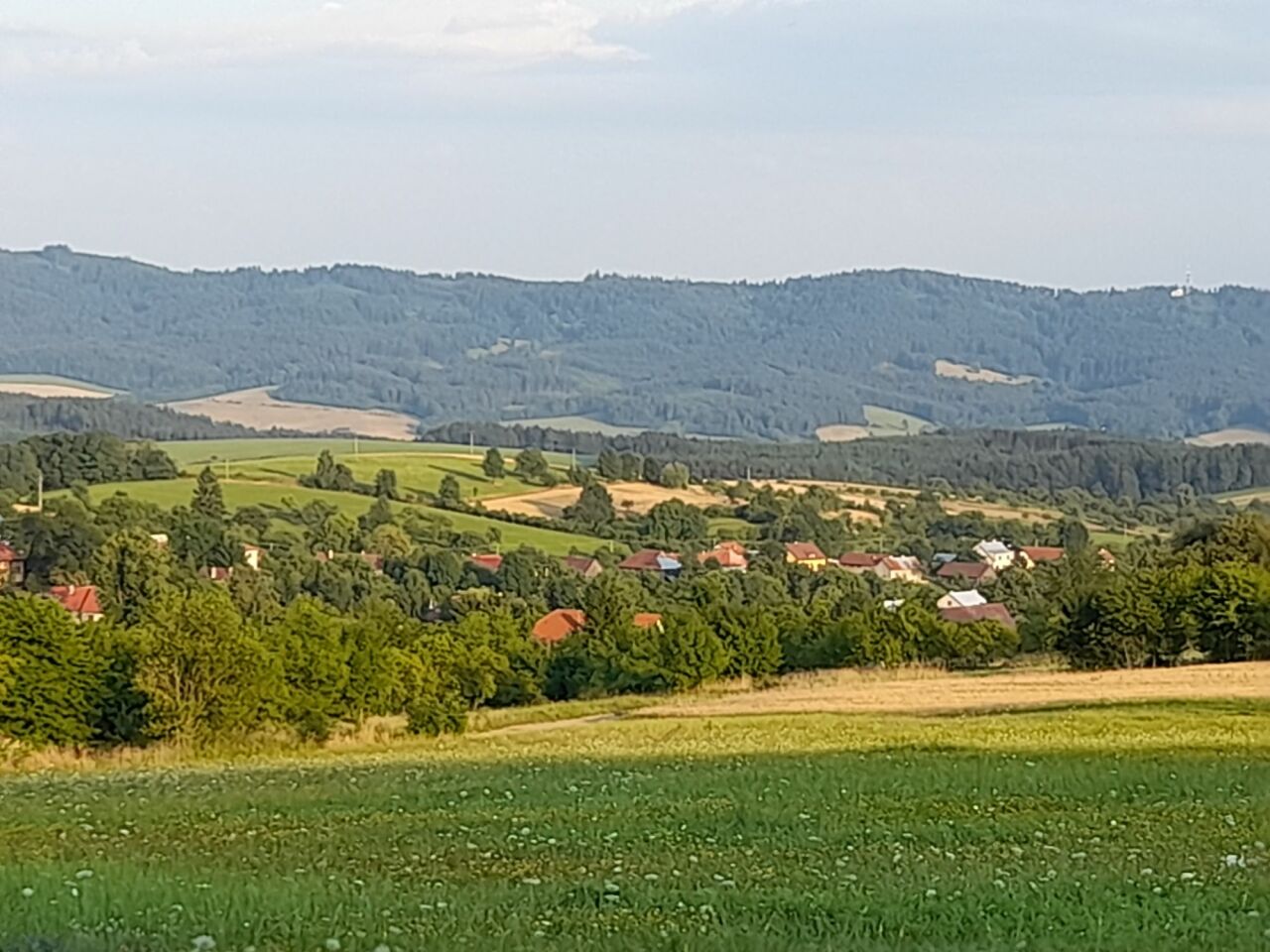 Svědkyně