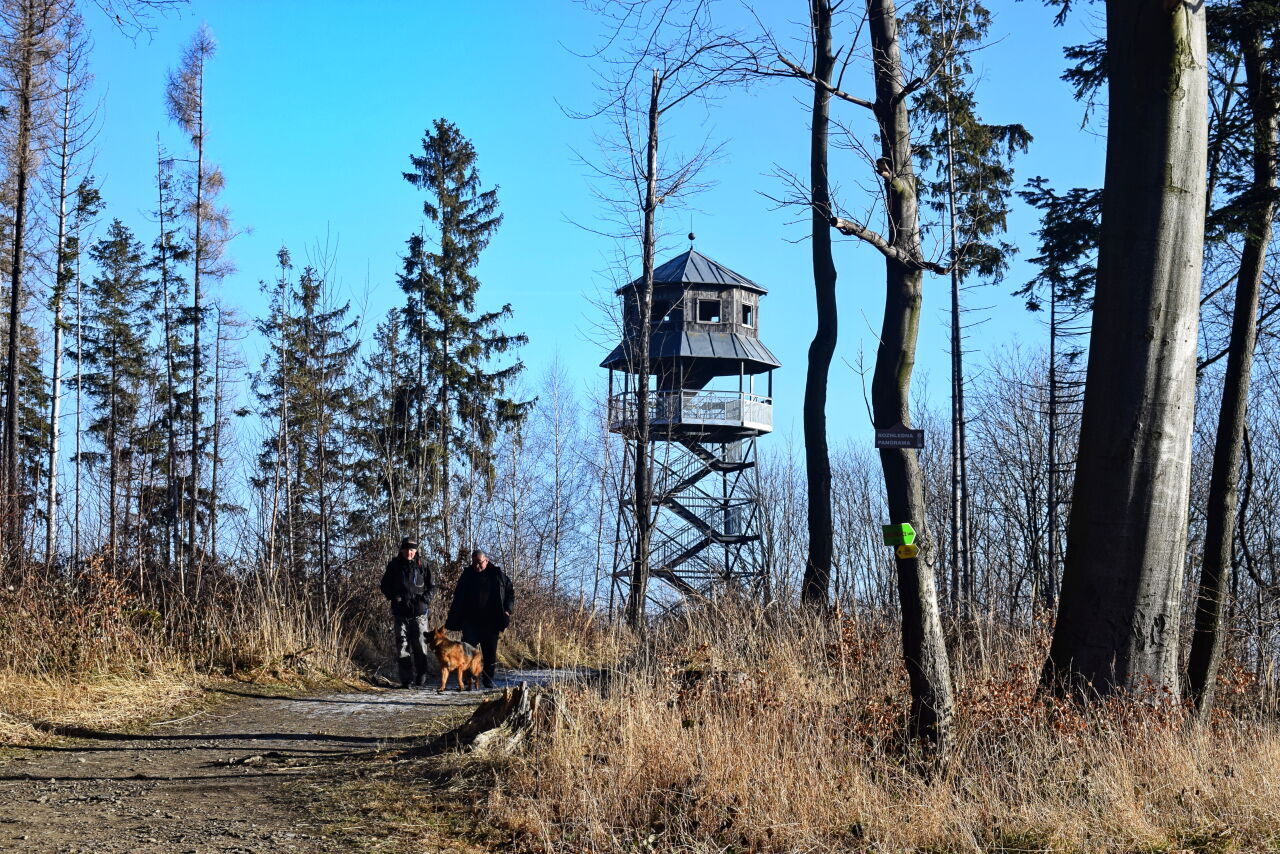 Panorama