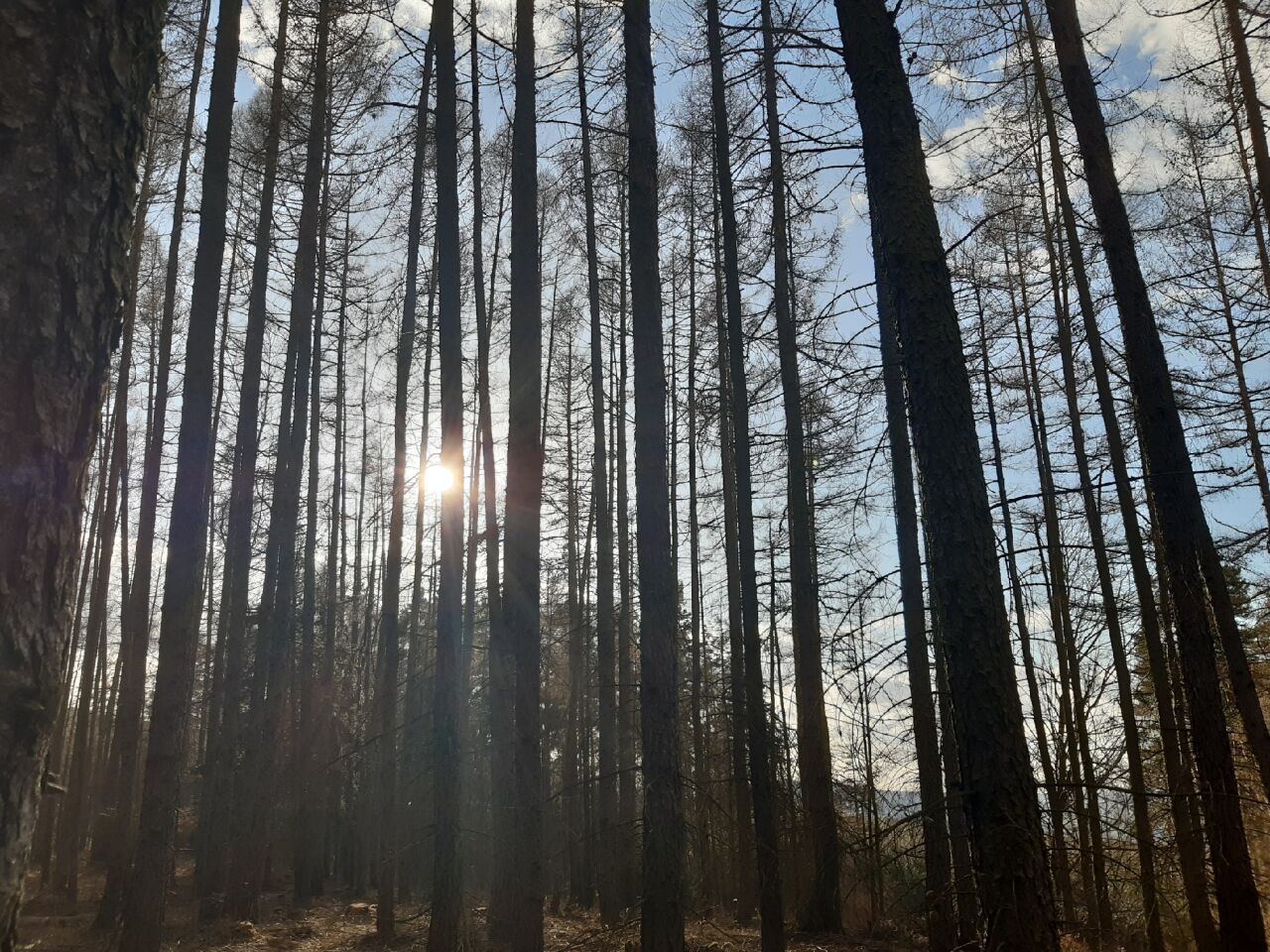 Ledňáček (500 m)