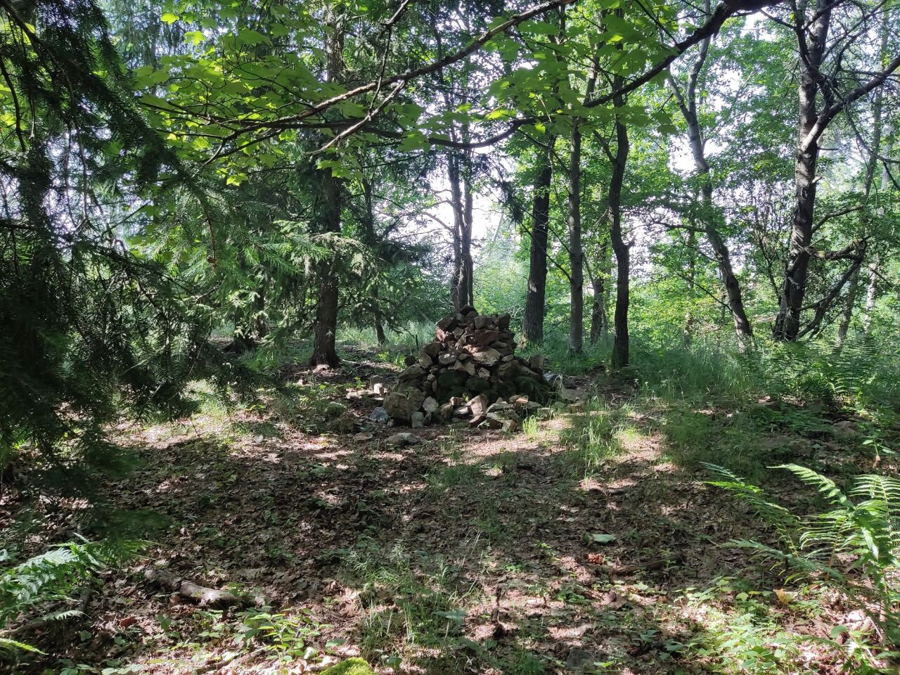 Stráž