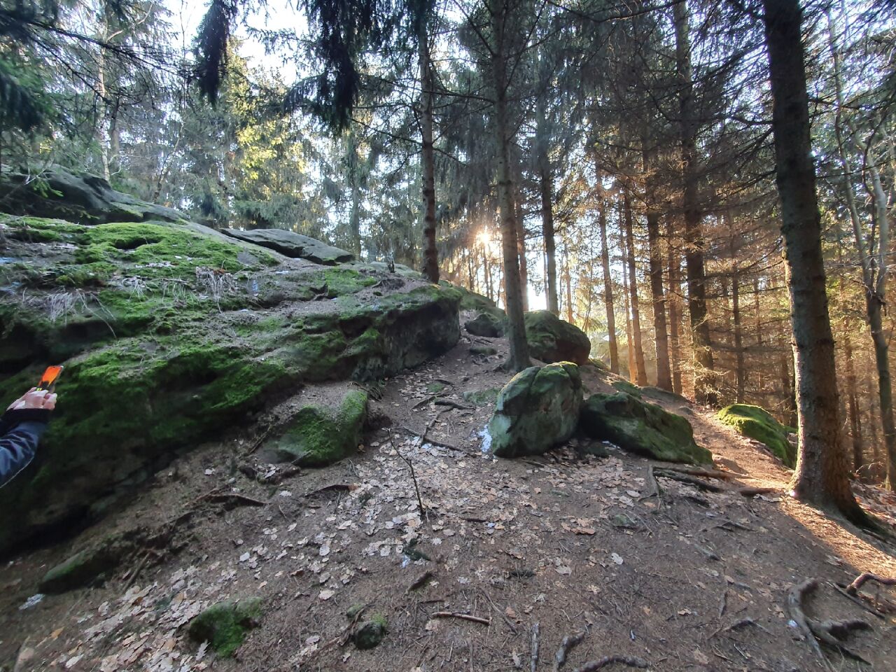 Jeřabčina skála