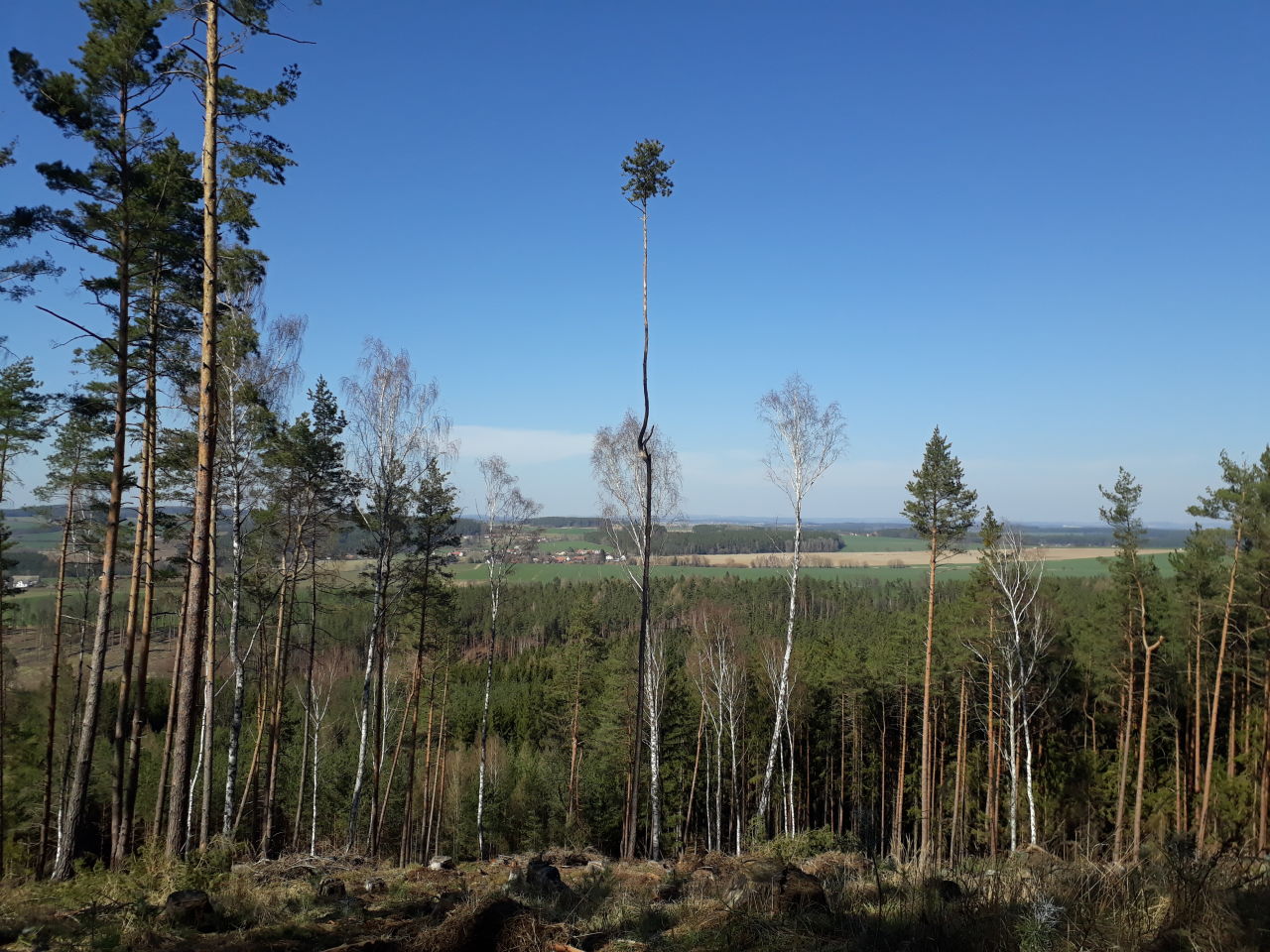 Chlum (510 m)