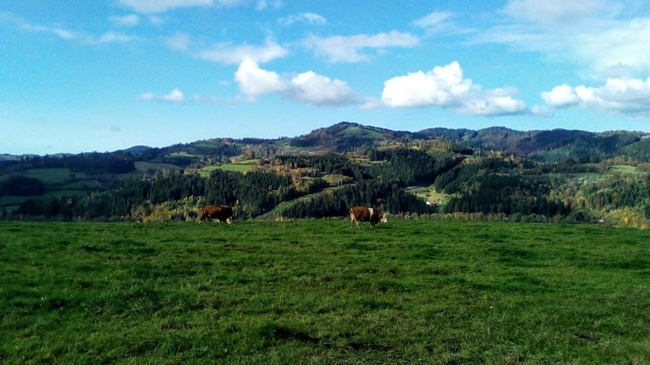 Lucký vrch