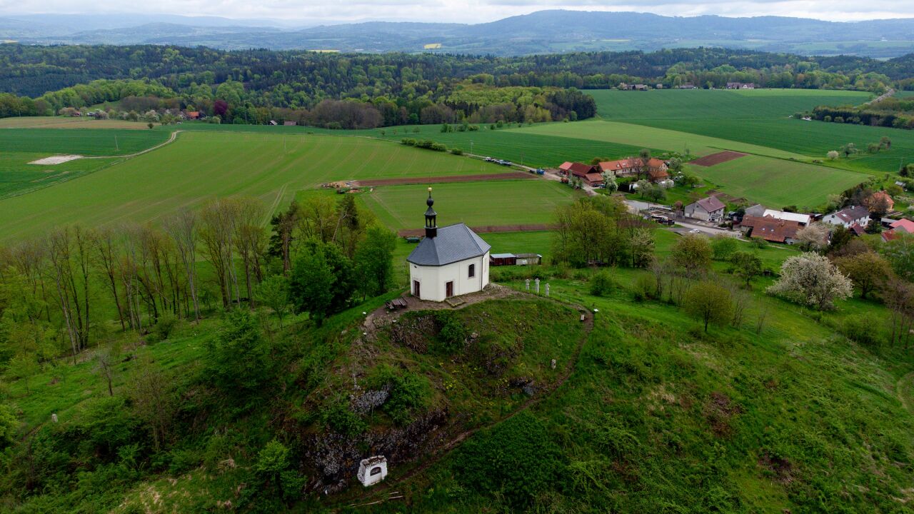 Vyskeř