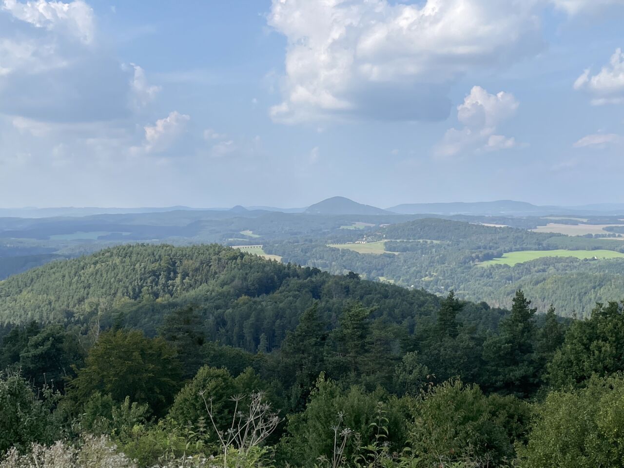 Nedvězí