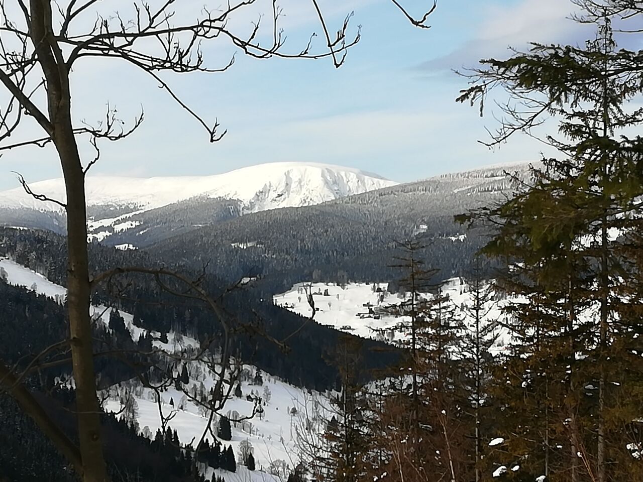Špičák