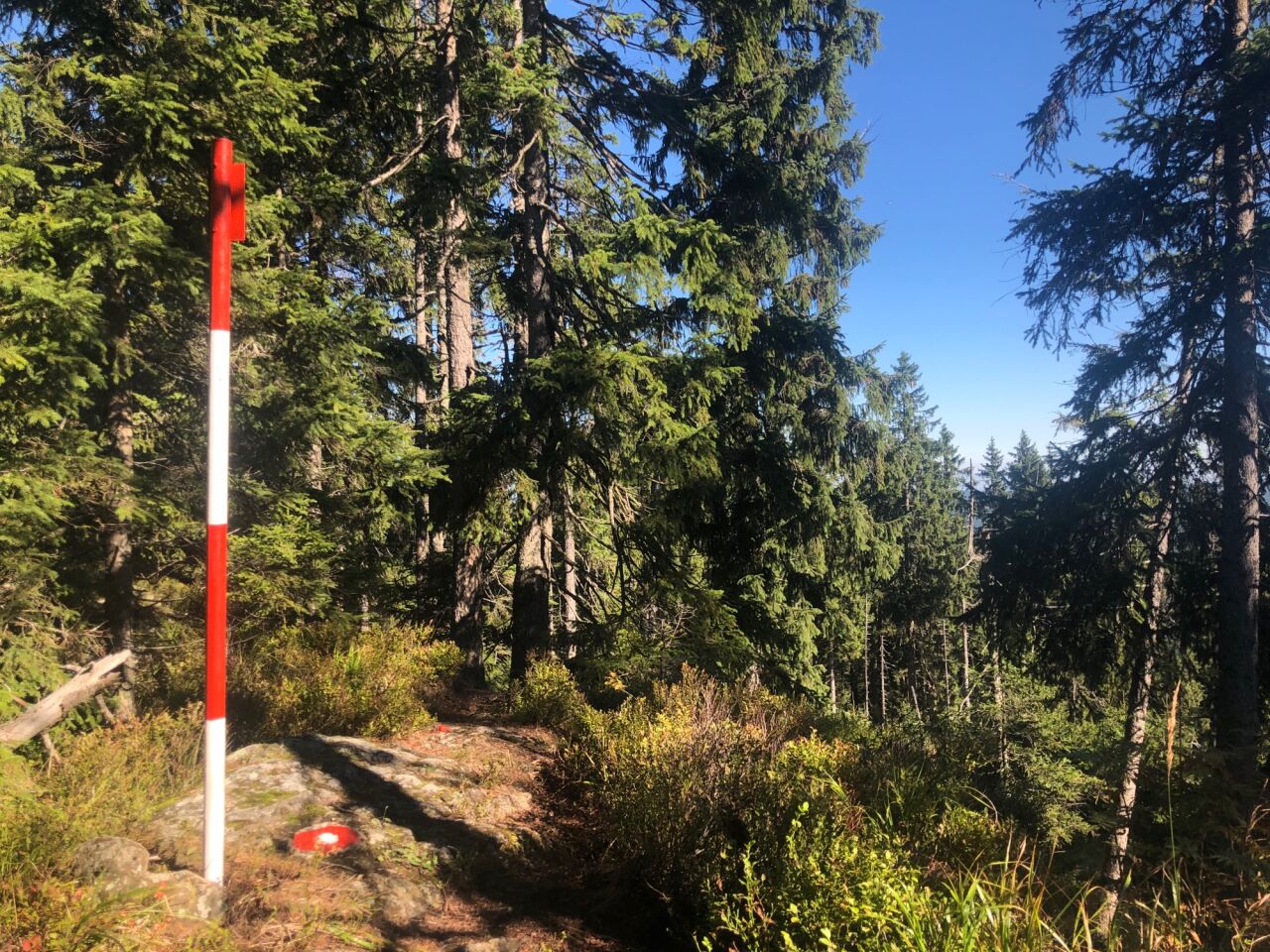 Tetřev (1260 m)